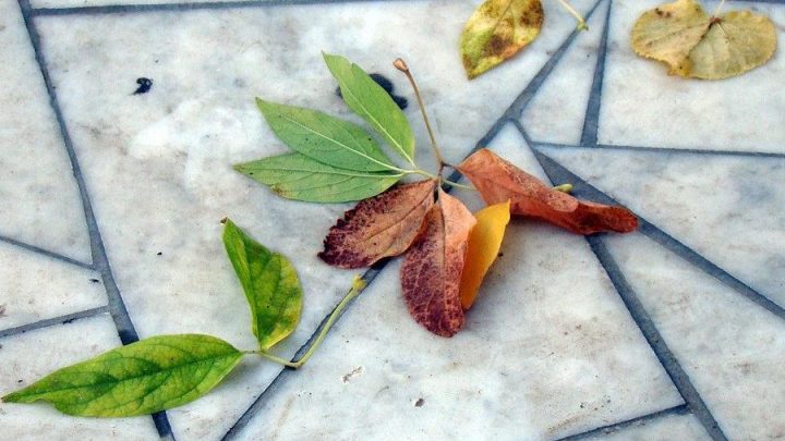 Zastosowanie marmuru we wnętrzach