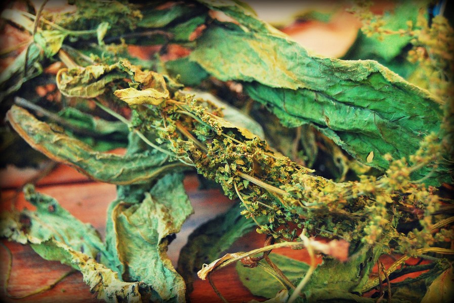 Efektywne trawienie pokarmów i jego wpływ na nasze zdrowie.